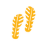 Evo Shoes
